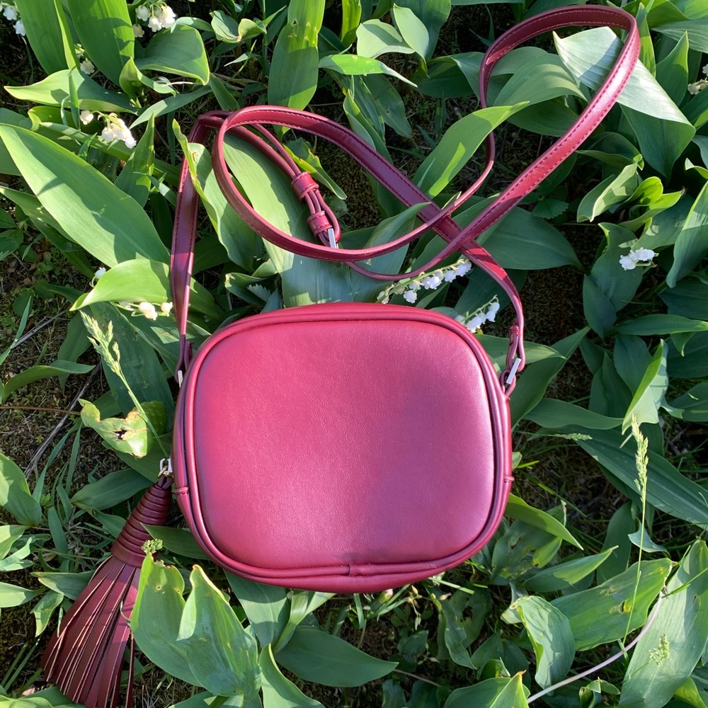 XII | Mini Crossbody